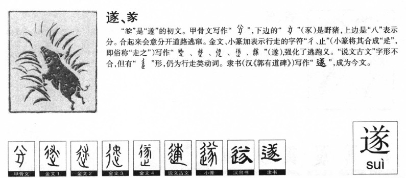 遂字五行属什么遂字取名有什么意义