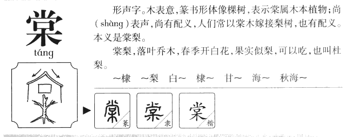 这种植物的果实,均亦称"杜梨.姓;棠字怎么读棠字的读音