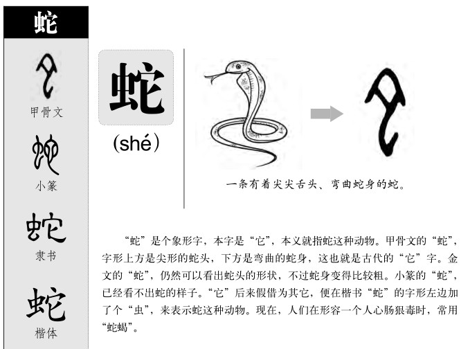 蛇字的演变过程图片