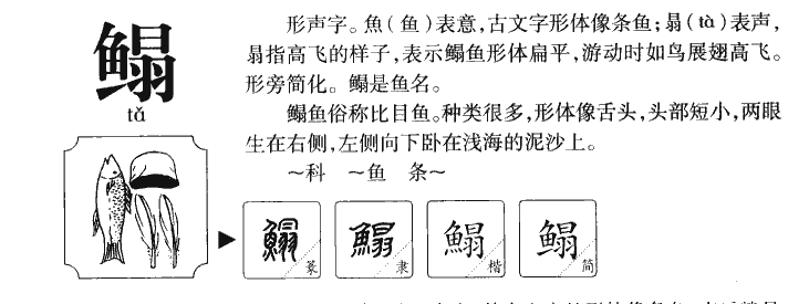 鳎字的意思是什么,鳎字取名字大全