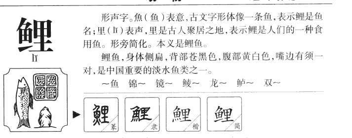 鲤字五行属什么 鲤字取名有什么意义
