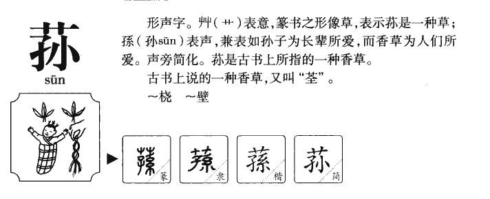 竹荪的拼音图片