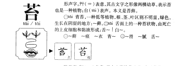 苔藓拼音图片