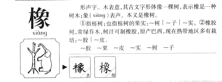 橡字五行属什么 橡字取名有什么意义