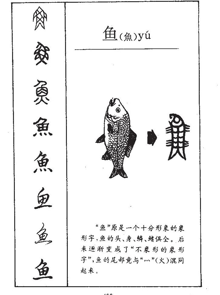 汉字鱼的演变过程图画图片